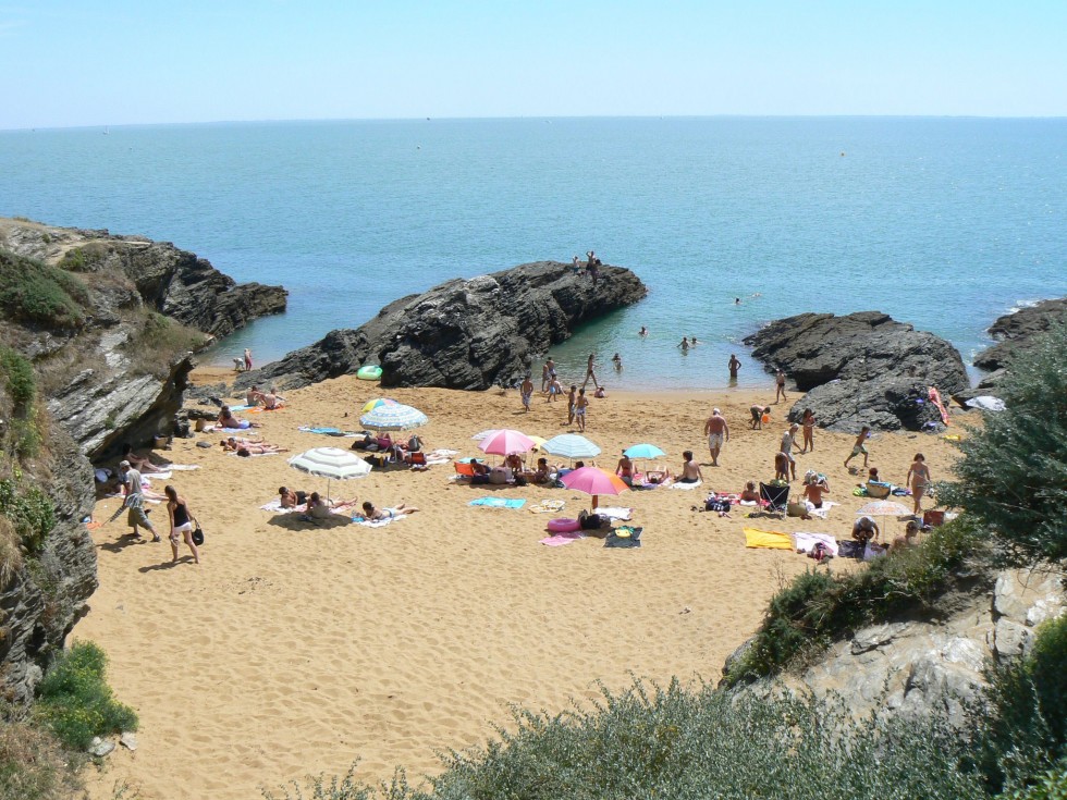 Image associée