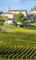 Vignoble-bordeaux