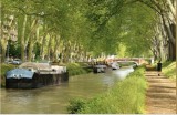 Canal-du-Midi-L'Aloé Tolosa-Toulouse