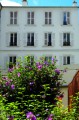 2597_brochure-595