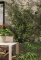 2576_brochure-6
