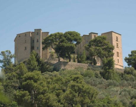 Château de Meyrargues