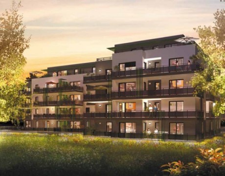 Le Bois des Sens 2