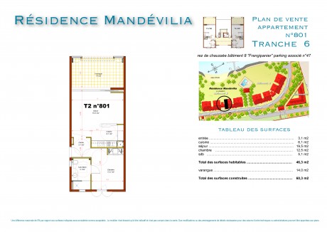 801 T2 - Mandevilia 3