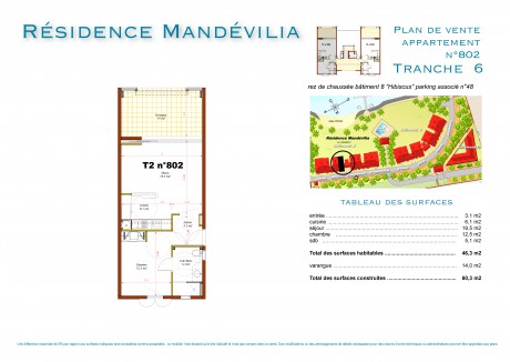 802 T2 - Mandevilia 3