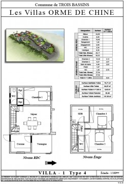 01 T4 - Orme de Chine