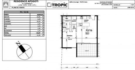 F2/1b T2 - Apogoti