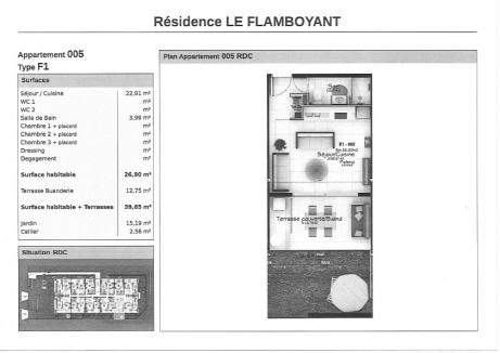 05 T1 - Flamboyant