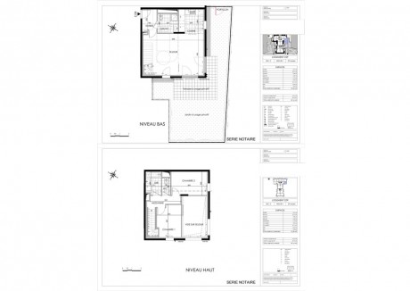 C09 T3 Duplex - Impressions