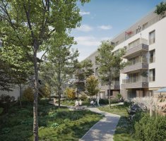 ALLEE DU PRUNIER HARDY