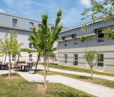 Lauriers de Plaisance