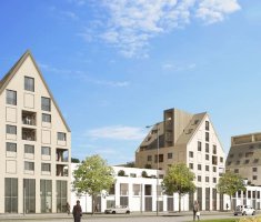 DIJON - BILOBA BAT D